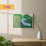 ציור טבע אשר נמכר, בגודל 95X75, של האמנית שני חמו סודרי. היכנסו לאתר להתרשמות מהיצירה ולקבלת פרטים נוספים »